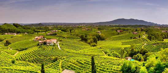 Panorama of vineyard county around Valdobbiadene