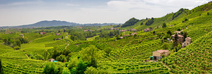 Panorama of vineyard county around Valdobbiadene