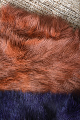 Brown and blue rabbit fur background texture on the wooden table