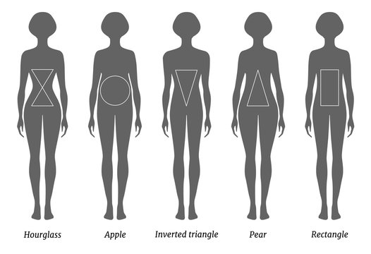 Free Vector  Flat types of female body shapes set
