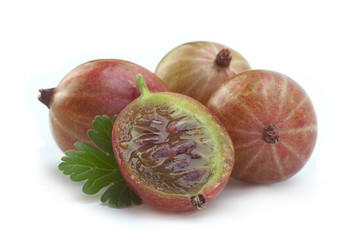 Red gooseberry closeup