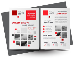 Flyer brochure design template squares theme red color