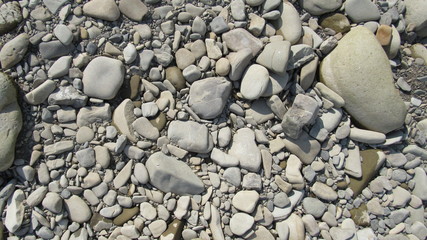 Grey stones texture. River stones on the ground. texture or background for your project