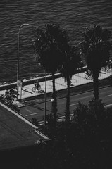 Fototapeta premium Paseo Marítimo Pablo Ruíz Picasso