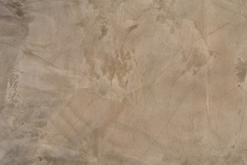 texture of old cement wall