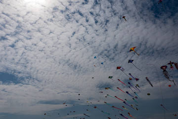 Kites with blue sky and white clouds