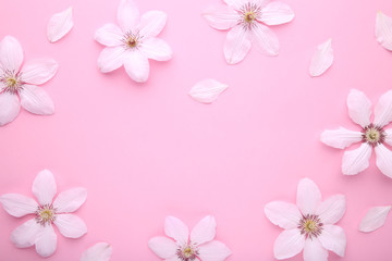 Fototapeta na wymiar Frame of white flowers on pink background, flat lay