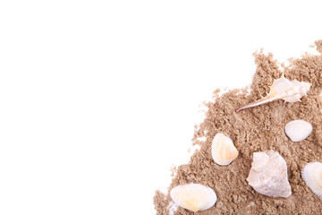 Seashells on a pile of sand isolated over white