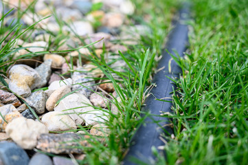 boarder between landscaped rock and grass with intrusion