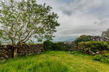 Land surrounded by limestone rocky stone fences and a tree with sparse foliage against cloudy cloudy sky, mountains in background in the Burren, spring day in County Clare, Ireland. Wild Atlantic Way