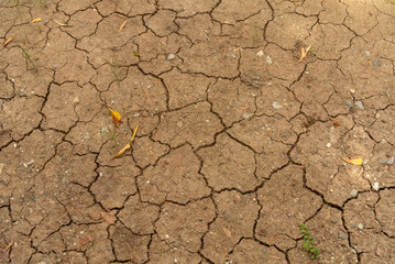 cracked earth texture
