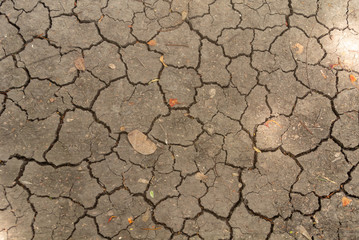 cracked earth texture