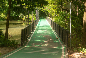 Obraz premium bridge in the forest