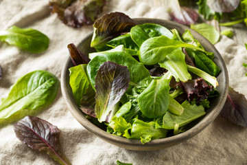 Raw Green Organic Baby Spring Lettuce