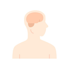 Healthy brain flat design long shadow color icon. Human organ in good health. Functioning nervous system. Internal body part in good shape. Wholesome mental health. Vector silhouette illustration