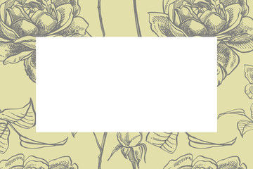 Roses. Hand drawn flower set illustrations. Botanical plant illustration. Vintage medicinal herbs sketch set of ink hand drawn medical herbs and plants sketch.