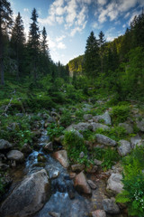 Obraz premium National park Krkonose - KRNAP