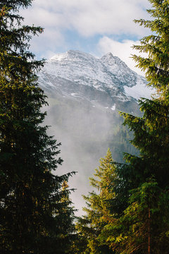firs frame mountain cloud