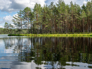 beautiful clouds and forest reflecting in the still waters