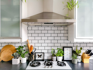 Fototapeta Black and white subway tiled kitchen with numerous plants and framed taxidermy insect art obraz