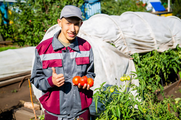 young gardener holds red tomatoes and shows super