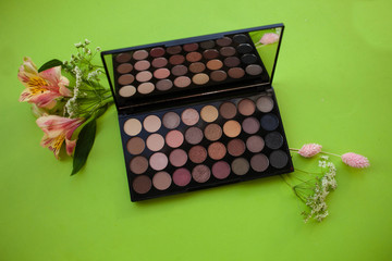 Set of pastel eyeshadows isolated. Eye shadow of brown shade on green background