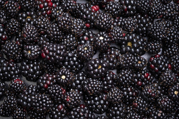 Lots of dark juicy wild fruit raw berries lying on the table.