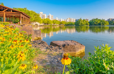 Lakeside View of Daning Tulip Park, Shanghai
