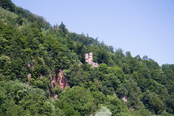 blick auf eine burg verdeckt von bäumen in der Nähe von Heidelberg Deutschland fotografiert...