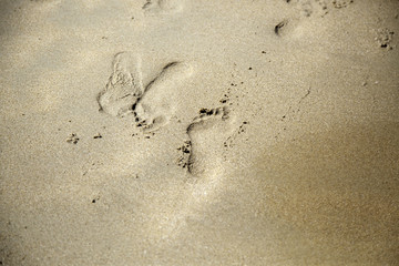 Footprints on the beach
