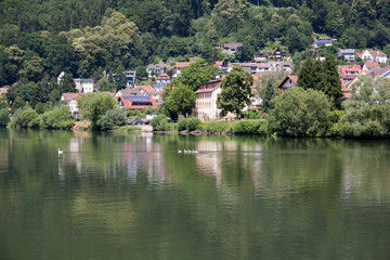 Fototapeta na wymiar blick auf gebäude und die landschaft in der Nähe von Heidelberg Deutschland fotografiert während einer Schiffsrundfahrt auf dem Neckar bei Sonnenschein