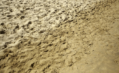 Footprints on the beach