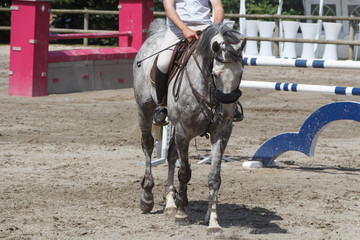 Man riding a gray horse at walking pace