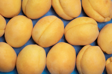 Ripe, large apricots fruit on a blue background. The view from the top.