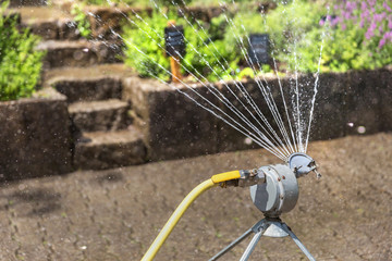 water sprinkler in a garden