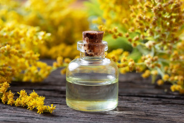 Obraz na płótnie Canvas A bottle of goldenrod essential oil and flowers