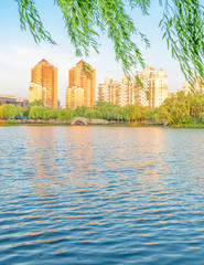 Lakeside scenery under the willow in the afternoon, Daning Tulip Park, Jing'an District, Shanghai, China