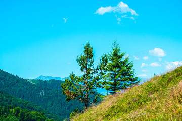 Obraz premium Landscape on the mountains