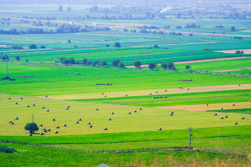 Naklejka premium Straw bales on the field