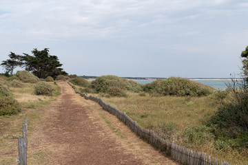 Fototapeta na wymiar view on beach footpath with golden sand an quiet sea