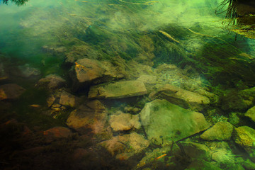 The green bottom of the stony creek.
