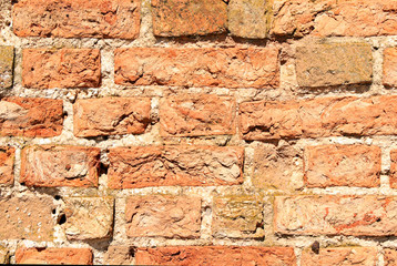 Part of a red brick wall as a background.