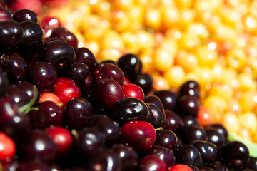 cherry on market shelf.