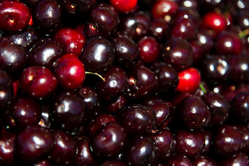 cherry on market shelf.