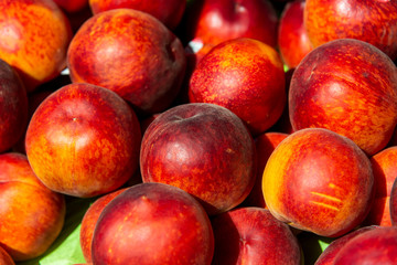 Nectarine on Market Shelf.