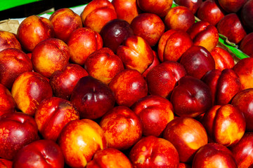 Nectarine on Market Shelf.