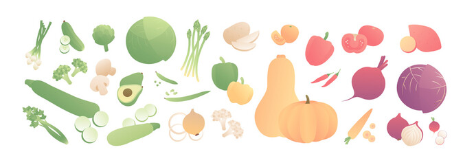 Vector color vegetables poster. Creative modern style flat illustration of vegetable sorted by color isolated on white background. Design for banner, poster, web, vegeterian, summer menu, vitamin