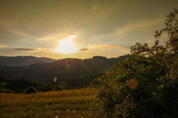 summer landscape nature in sunset in mountains and hills on countryside