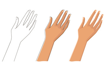 Three options female hand. Linear, tonal and contour. Vector image. Isolated on white background