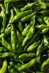 Raw Green Organic Shishito Peppers